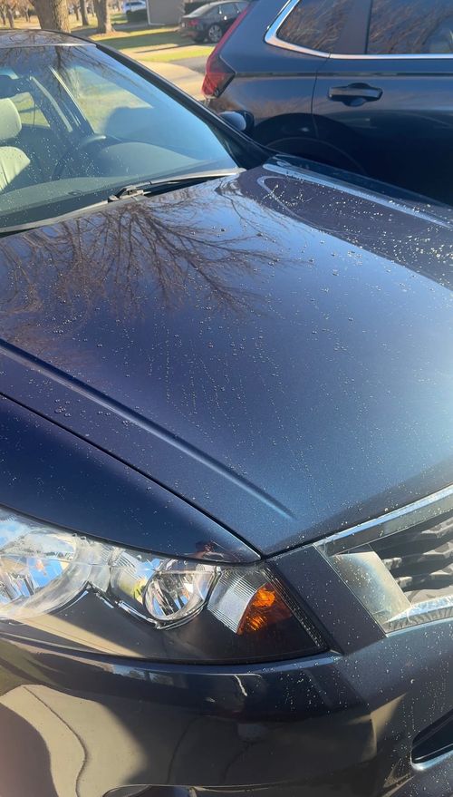 image of car tire rotation service