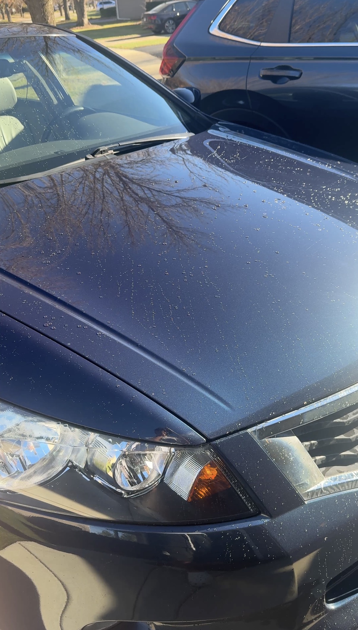 image of car tire rotation service