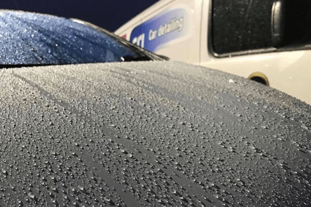 image of company milestones in a timeline format (for an edtech)