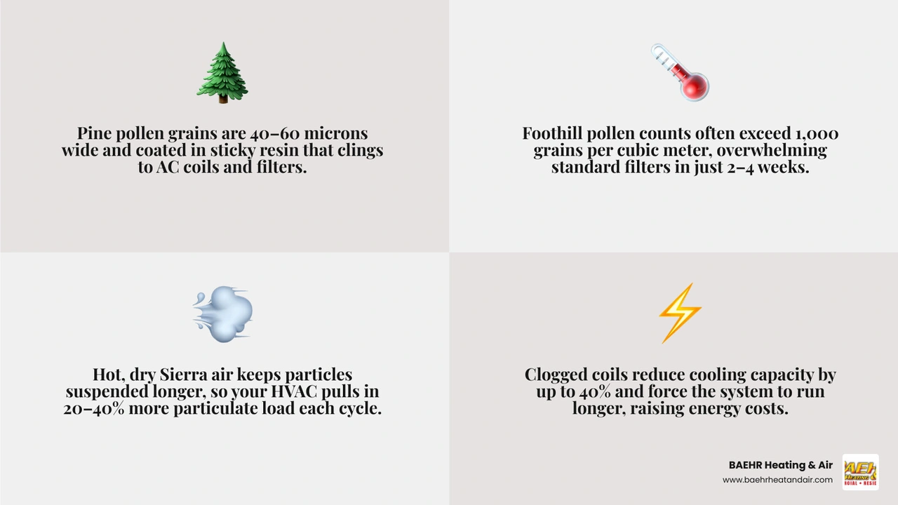 Infographic showing how outdoor pine pollen and dust particles travel through home envelope into HVAC system filters and Infographic showing how outdoor pine pollen and dust particles travel through home envelope into HVAC system filters and