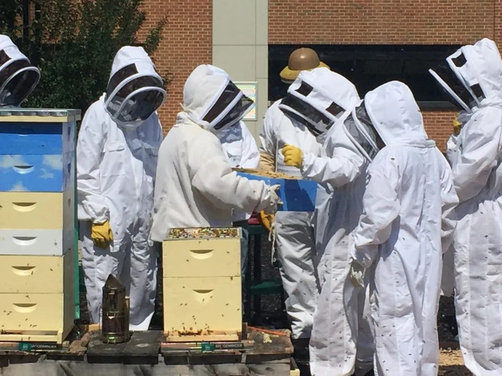 A group of people wearing beekepers' safety gear, in  a huddle