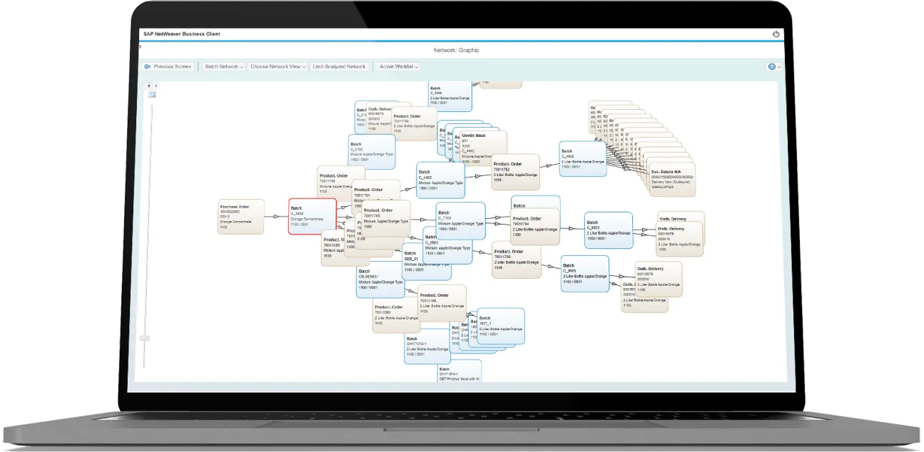 Laptop with interface of SAP Global Batch Traceability