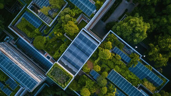 High-level view of solar panels in the middle of a forest of trees