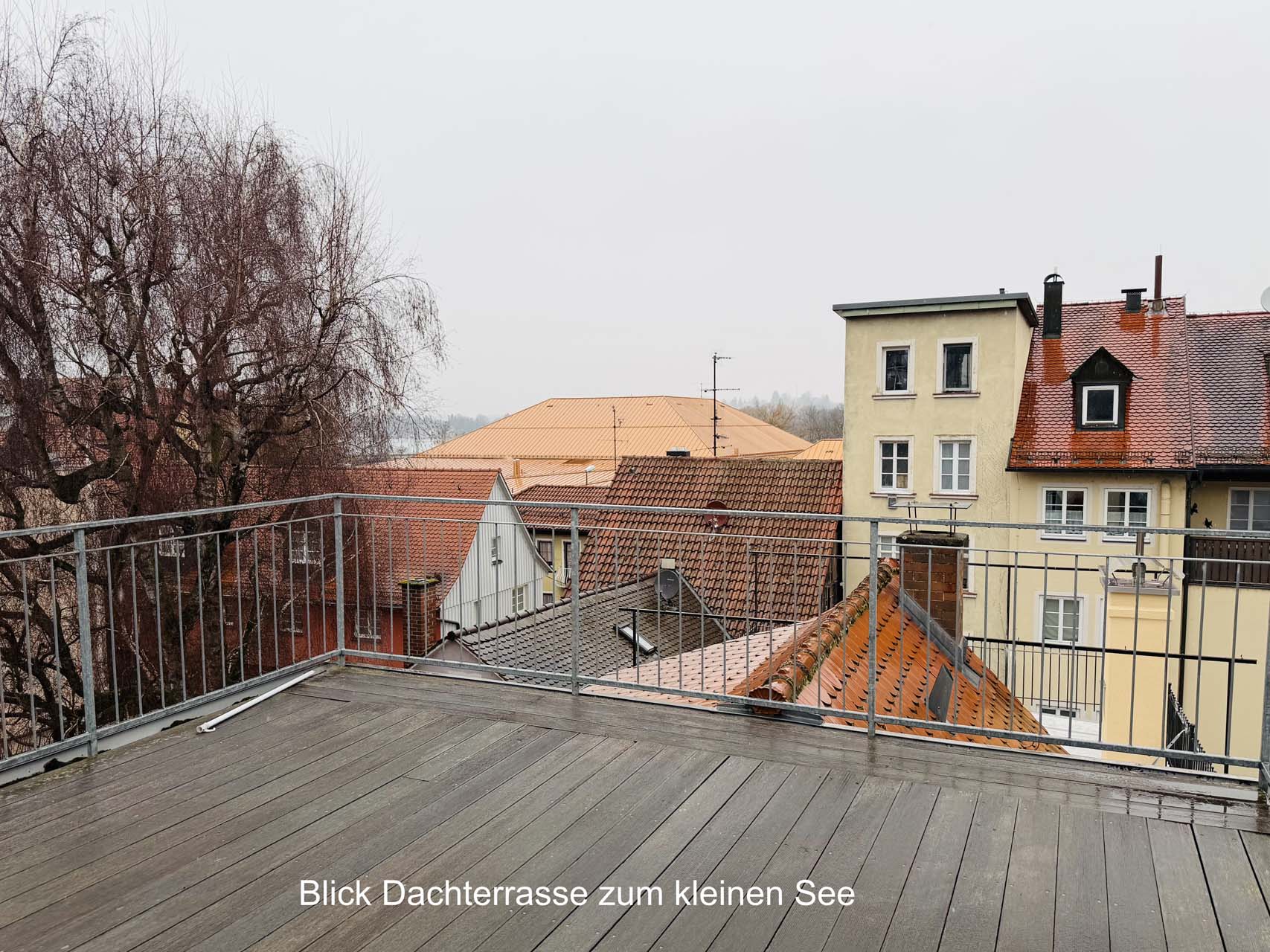 Blick von einer Dachterrasse mit Metallgeländer auf Häuserdächer und kahlen Baum bei bewölktem Himmel.