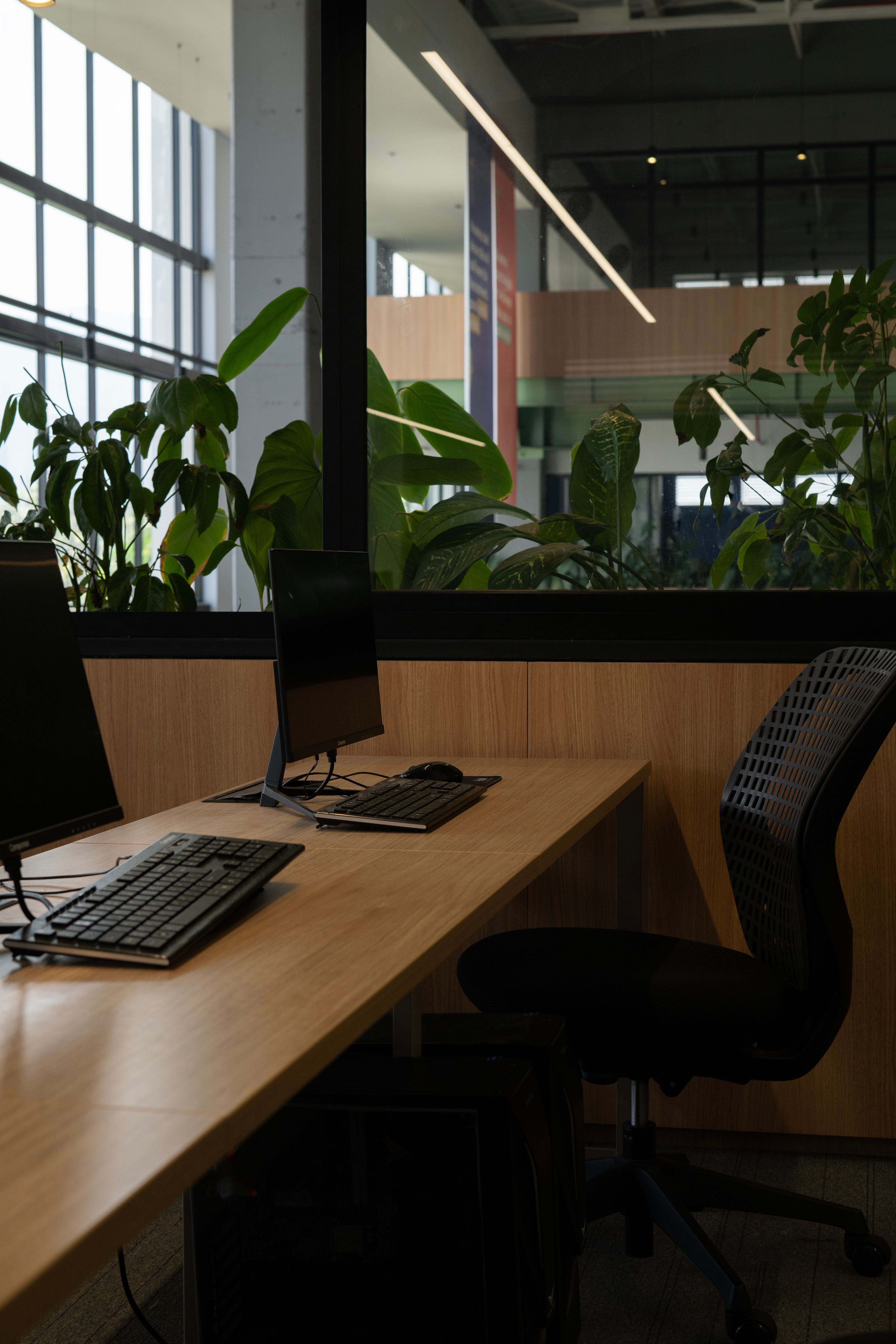 Business workplace interior with laptop, wooden desks, office seating, and greenery.