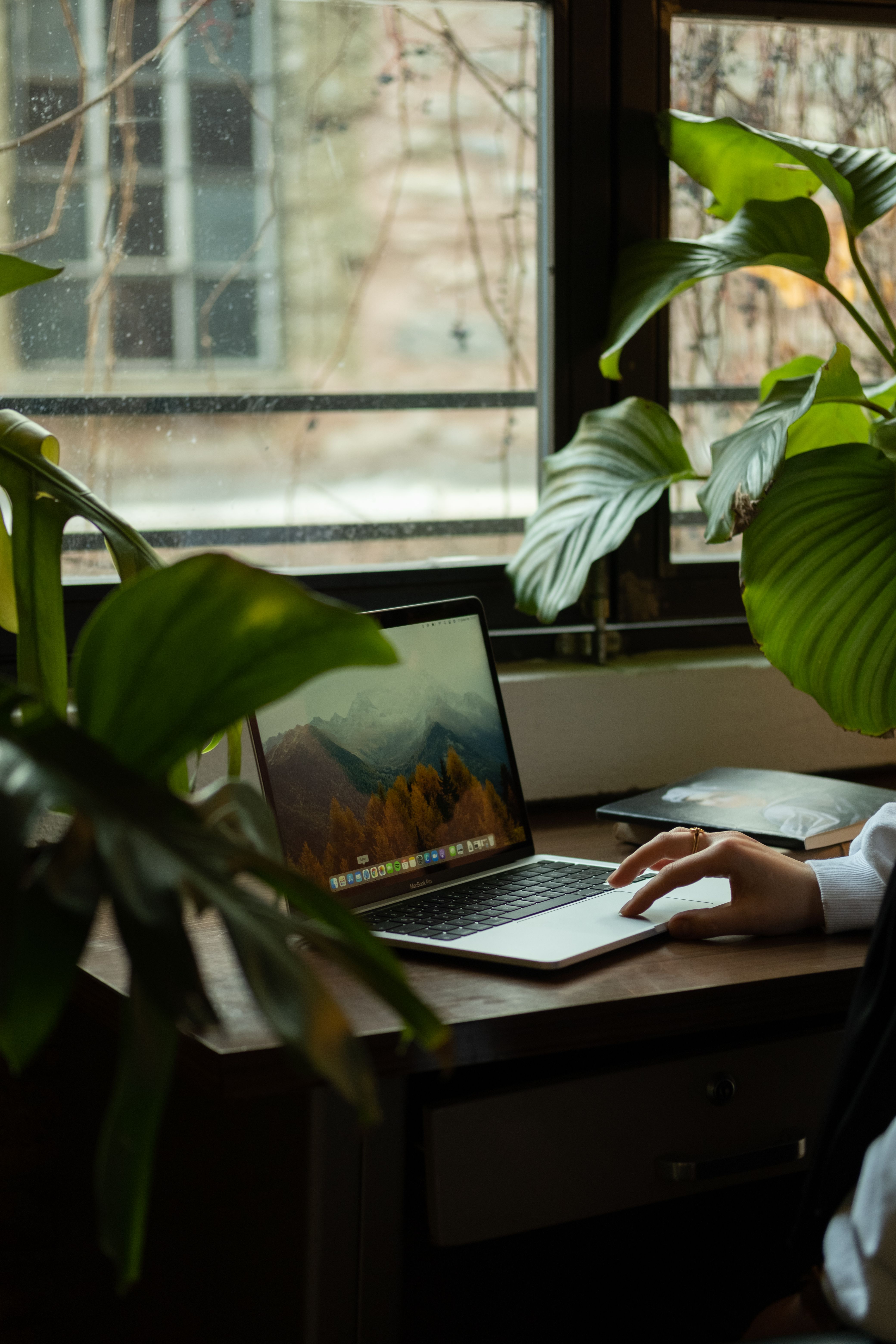 Remote administrative support and business operations.