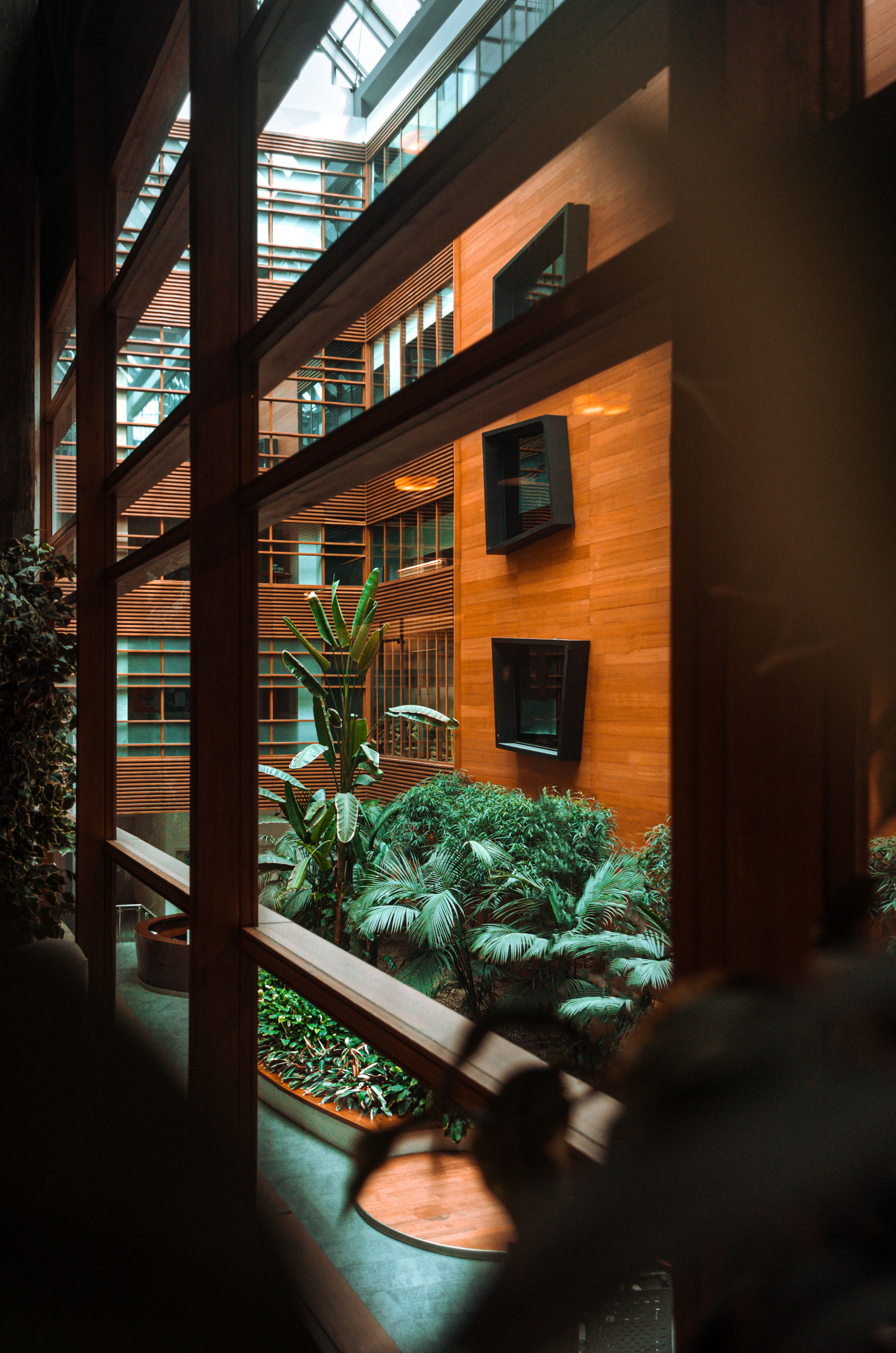 Modern business interior with indoor greenery and contemporary architectural design.
