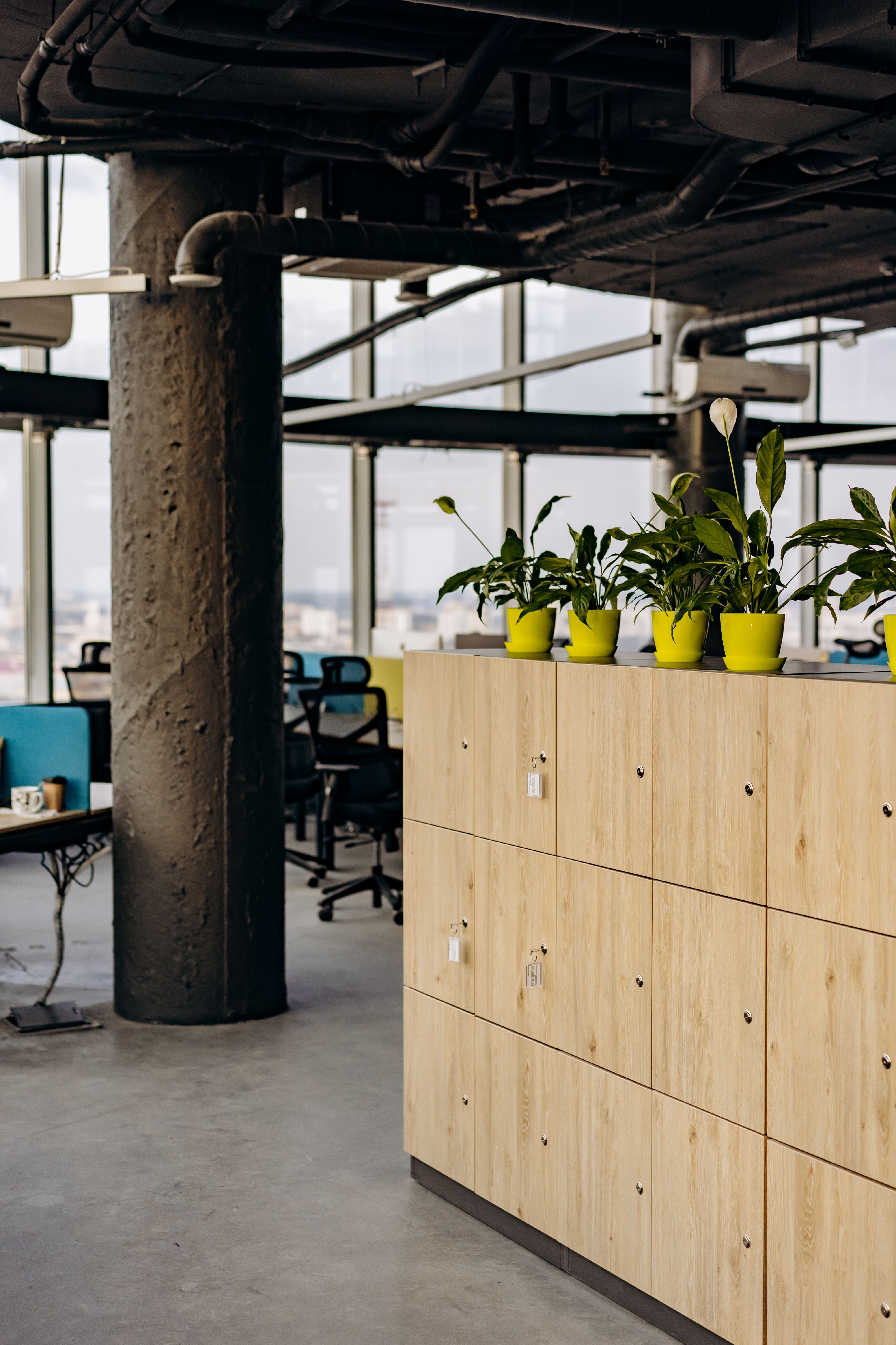 Business workplace interior with laptop, wooden desks, office seating, and greenery.