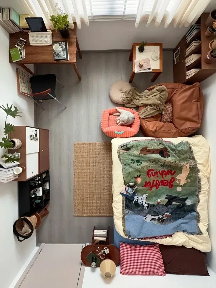 Small cozy room with a bed, cat on a cushion, desk, chair, and shelves with books and plants.