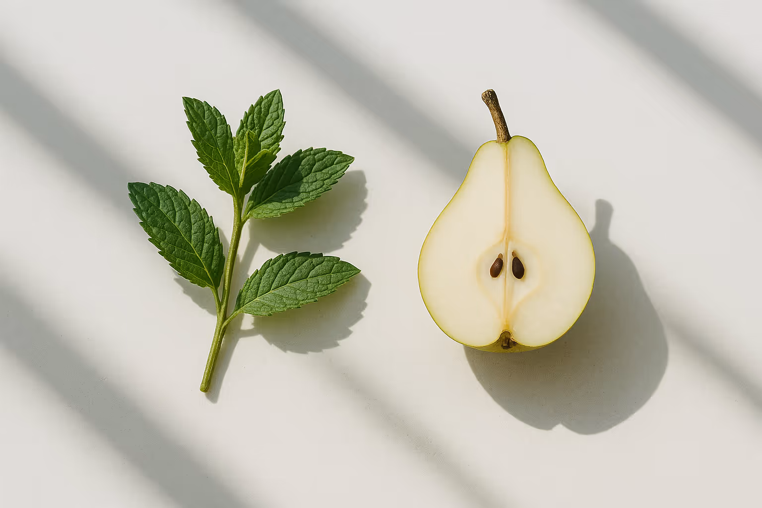 Illustration Blogpost