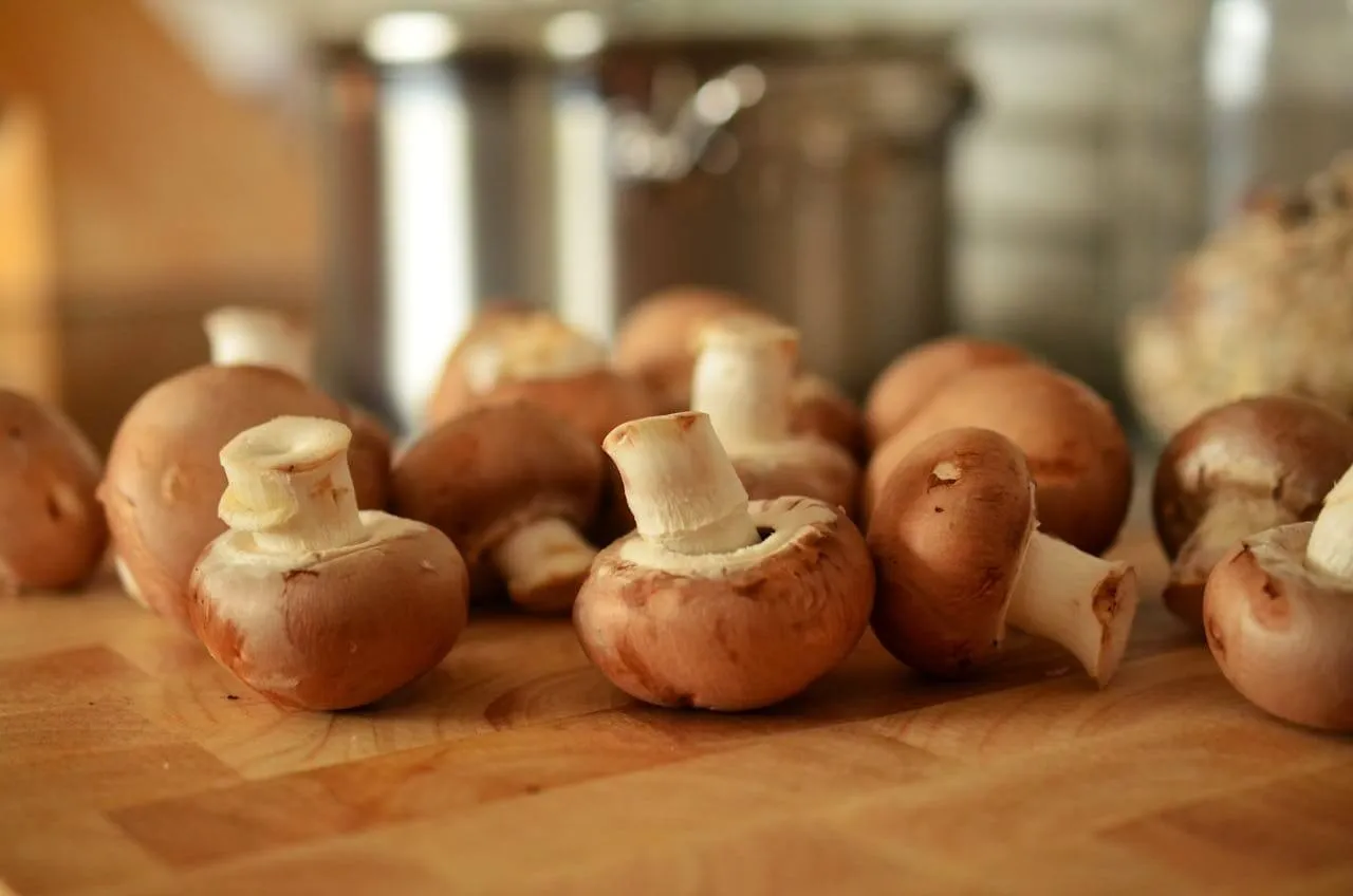edible mushrooms