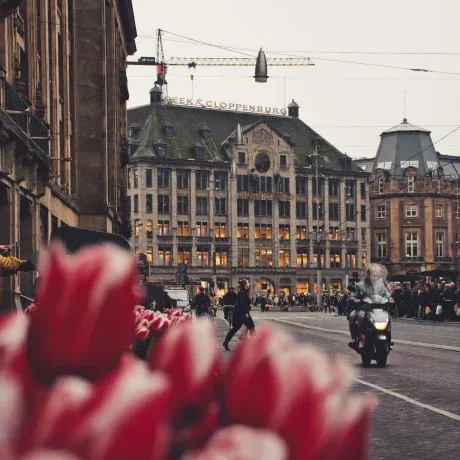 eu r&d centre locaiton - buildings image