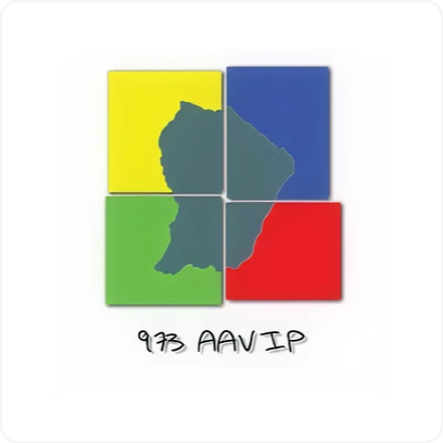 Logo 973 AAVIP