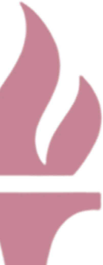 Half flame icon