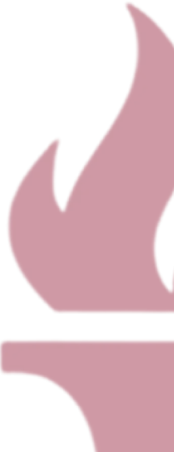 Half flame icon