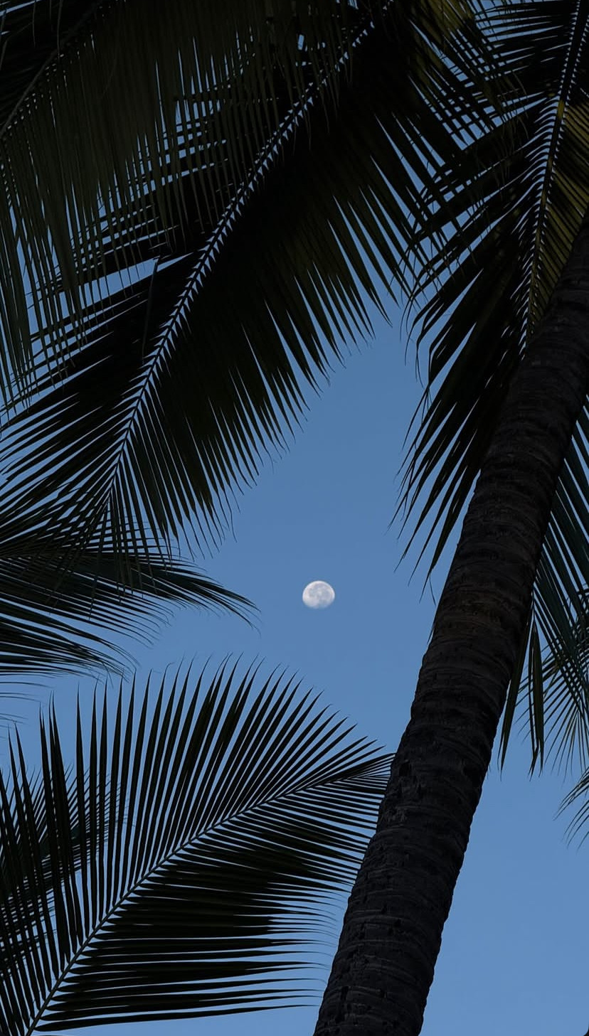 What is Revenue Operations, and why does it matter for B2B teams?