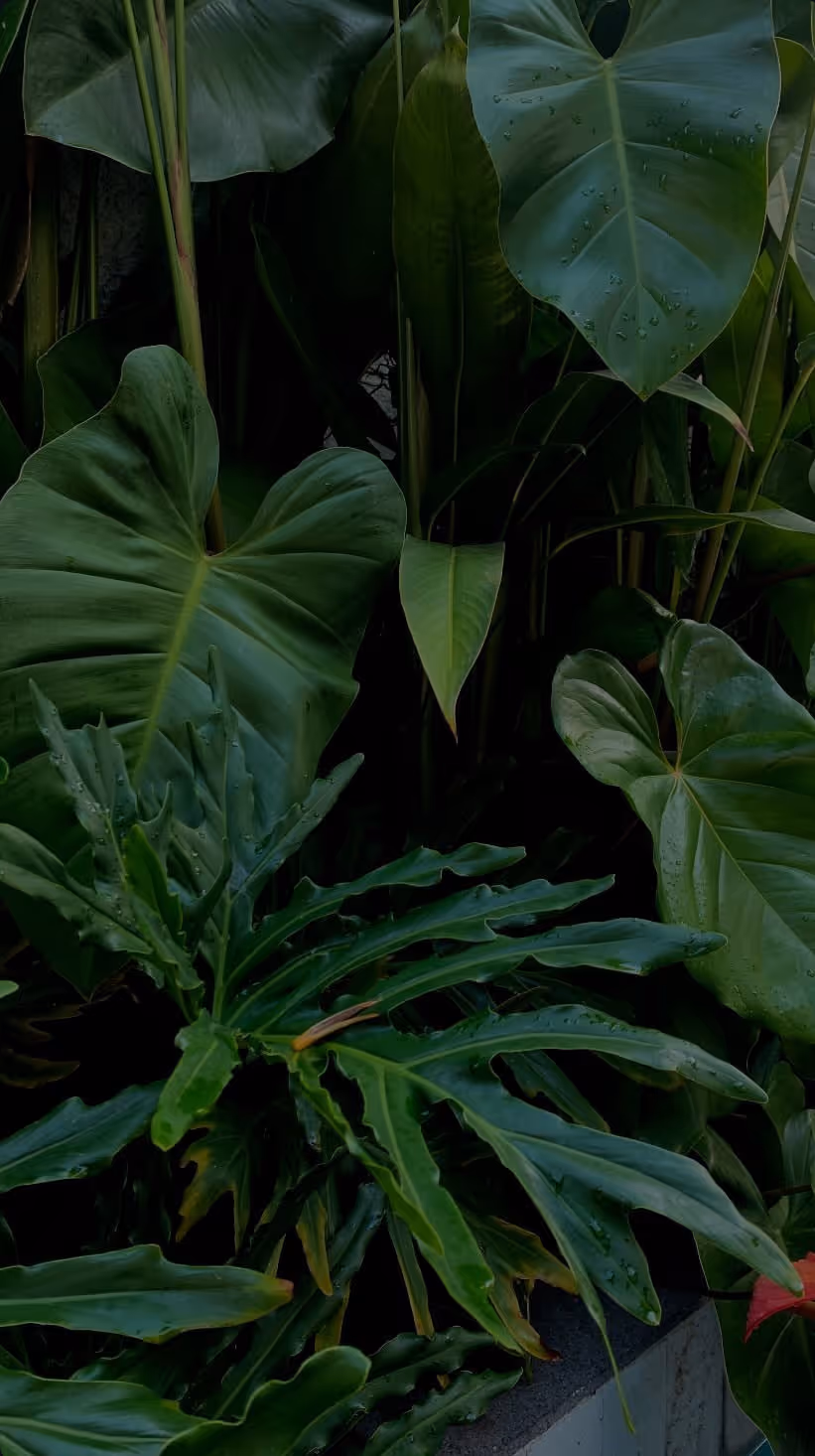 What is Revenue Marketing, and how does it help you connect brand with pipeline?