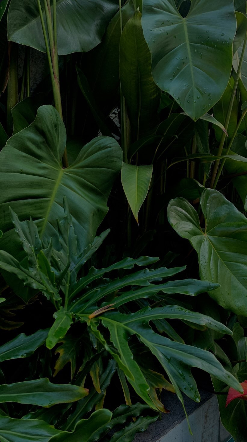 What is Revenue Marketing, and how does it help you connect brand with pipeline?