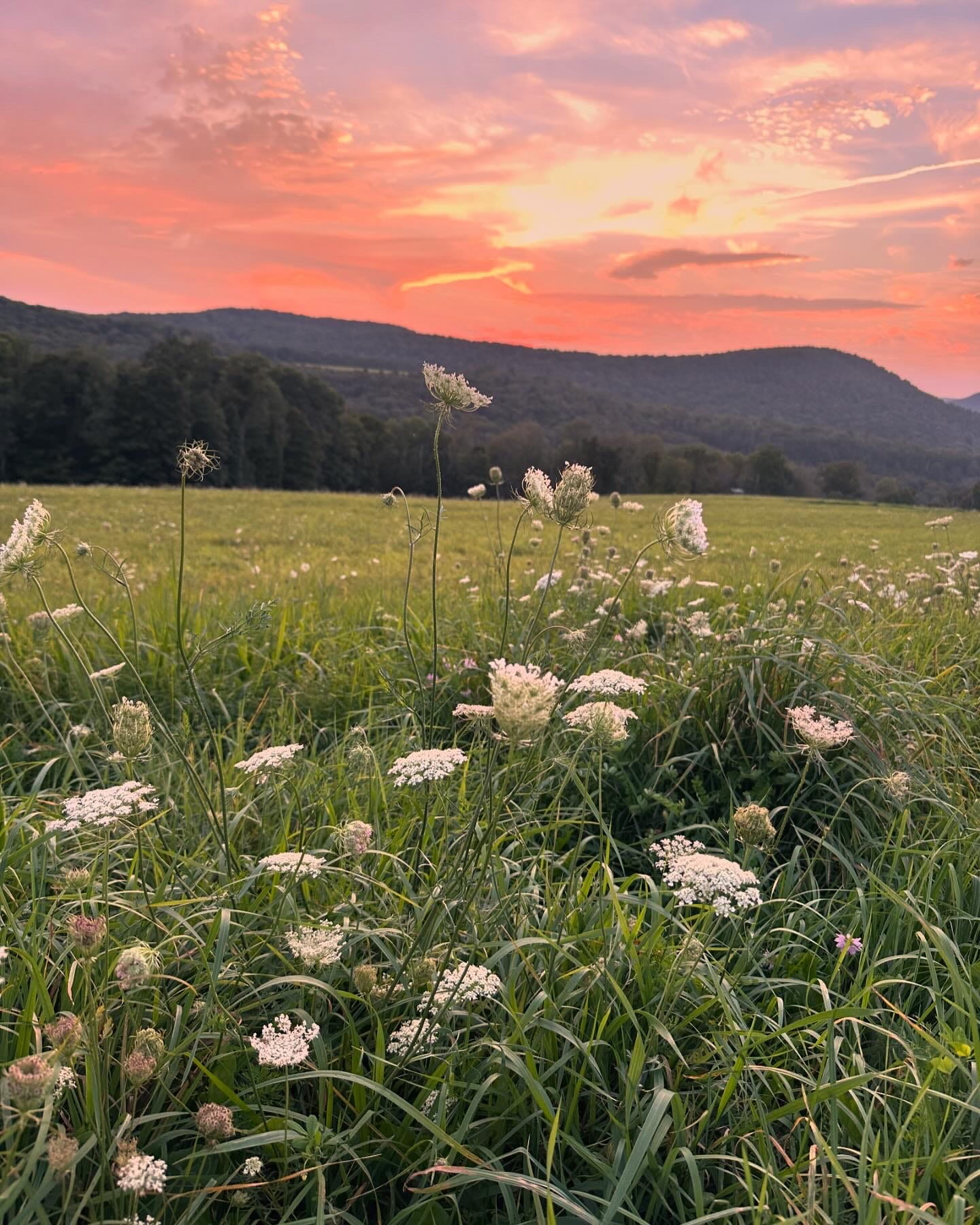 Revenue marketing for D2C: Applying the Bowtie Model to ecommerce growth