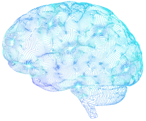 Stylized digital illustration of a brain with glowing blue and purple neural patterns.