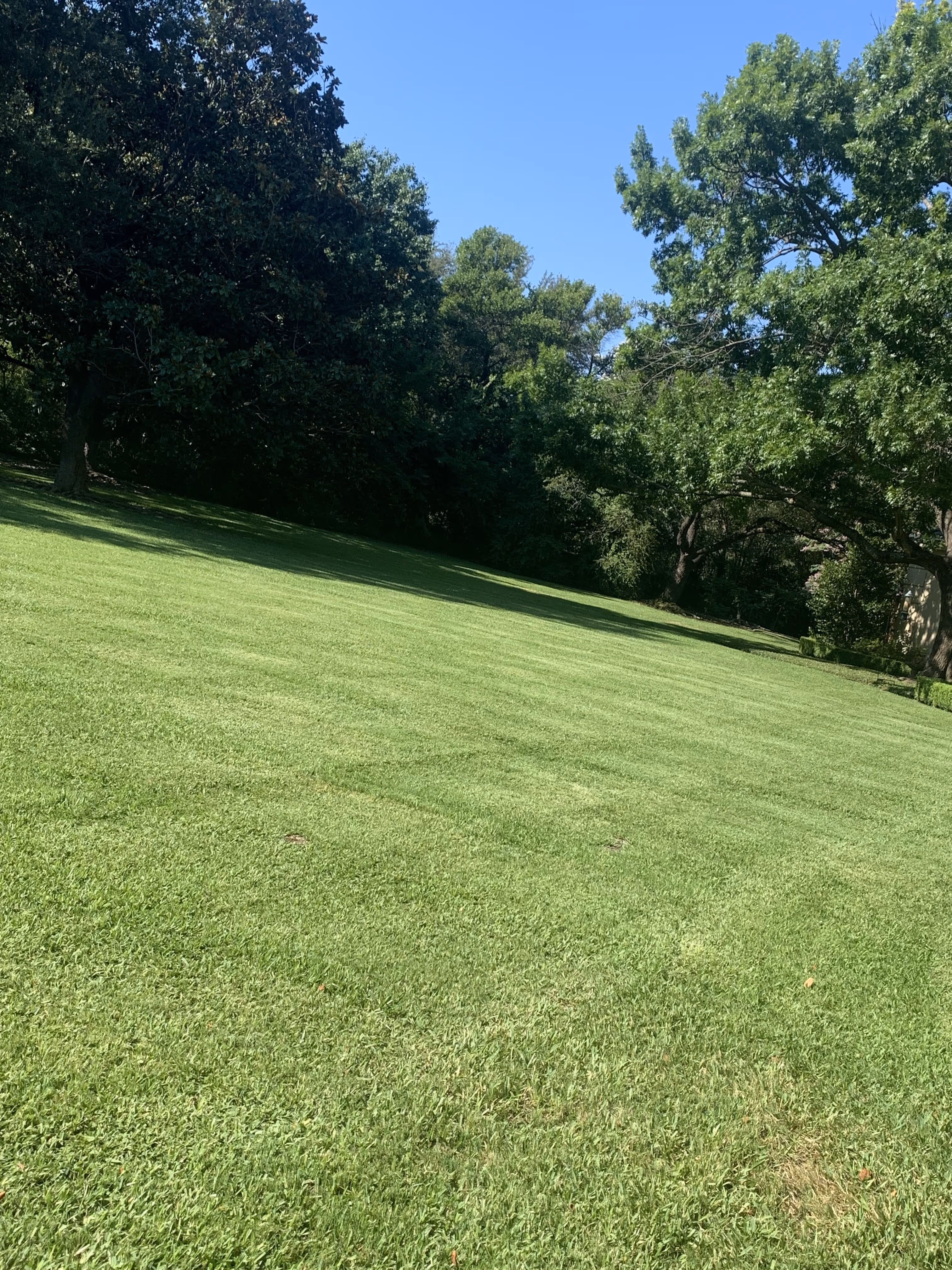 lawn mowing benbrook texas