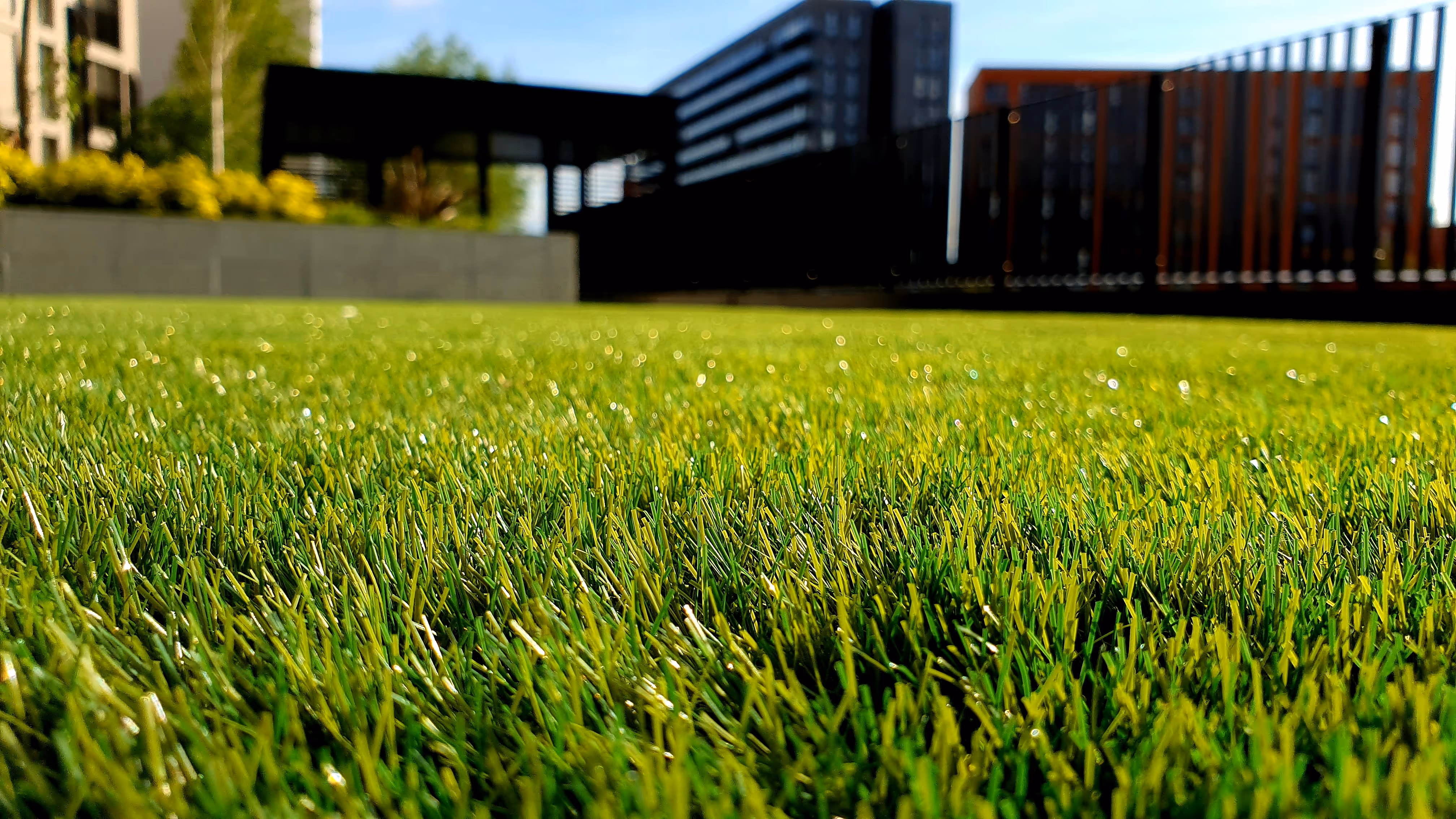 Artificial turf in Fort Worth Texas