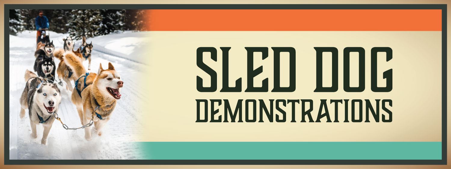 Sled Dog Demonstration Banner