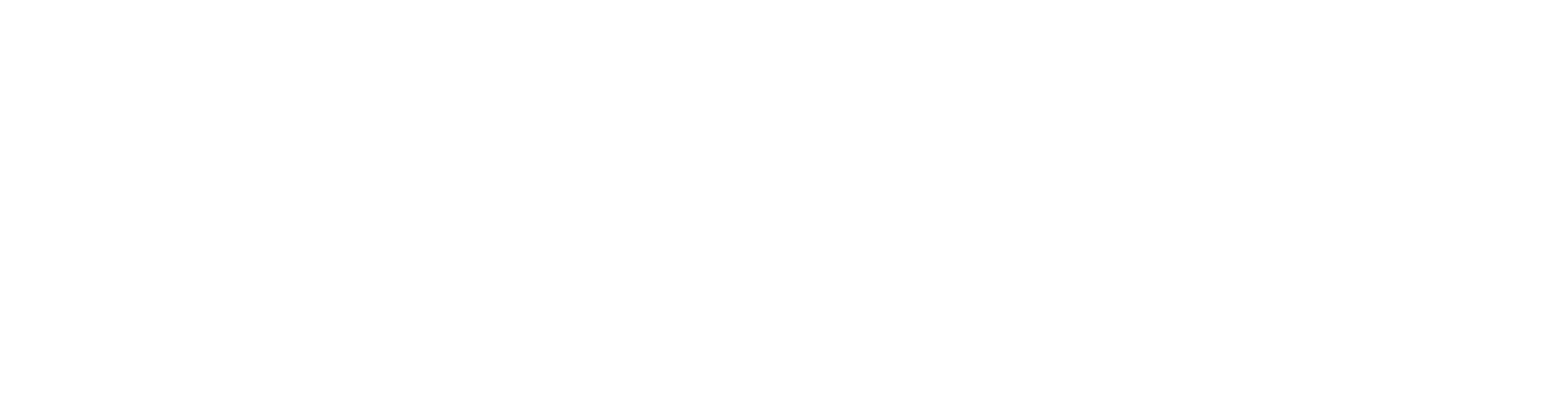 Avalanche foundation logo 