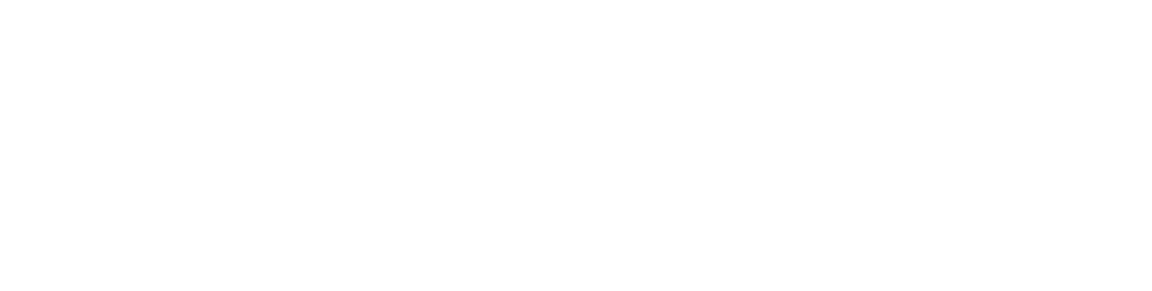 Logo for BNB Chain