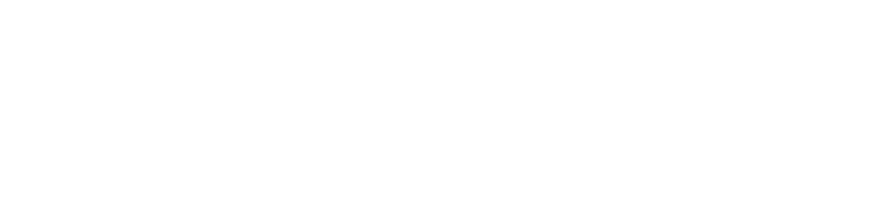 Logo for Polygon