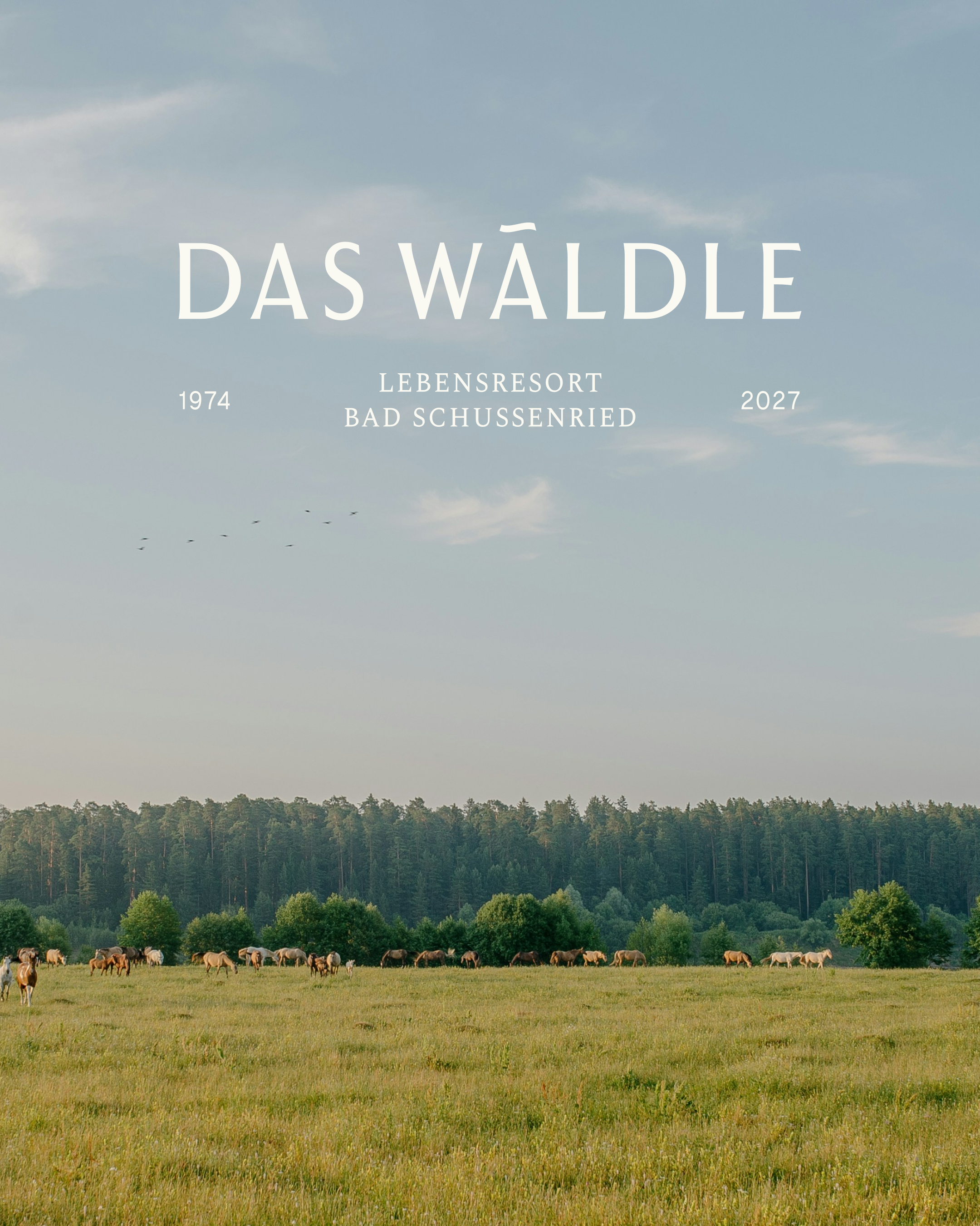 Das Wäldle