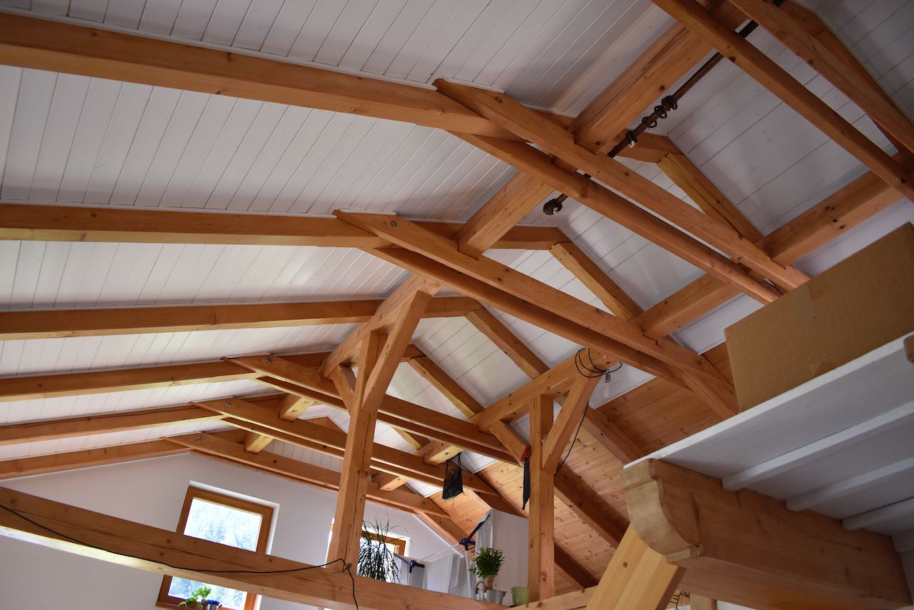 Ochrana dřeva před škůdci - David Kocián