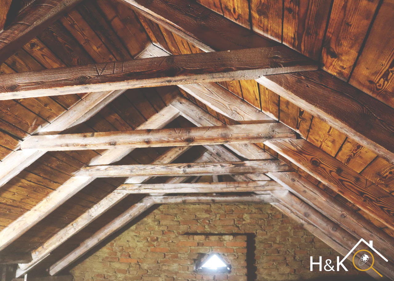 Ochrana dřeva před škůdci - David Kocián