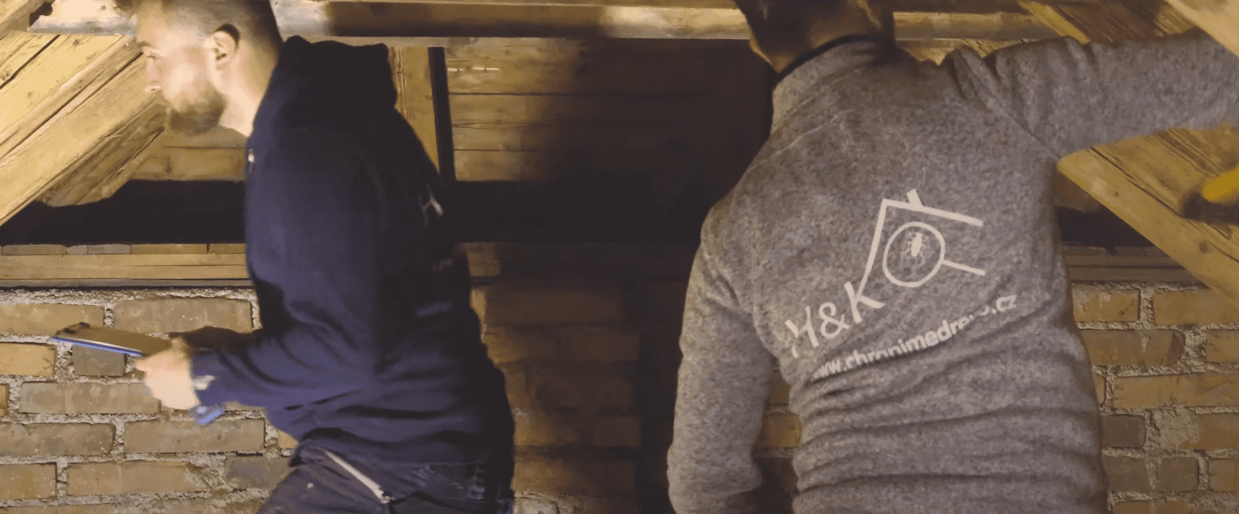 Ochrana dřeva před škůdci - David Kocián