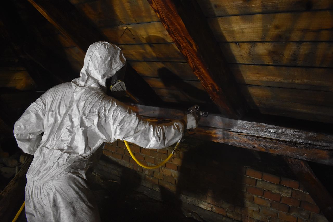 Ochrana dřeva před škůdci - David Kocián