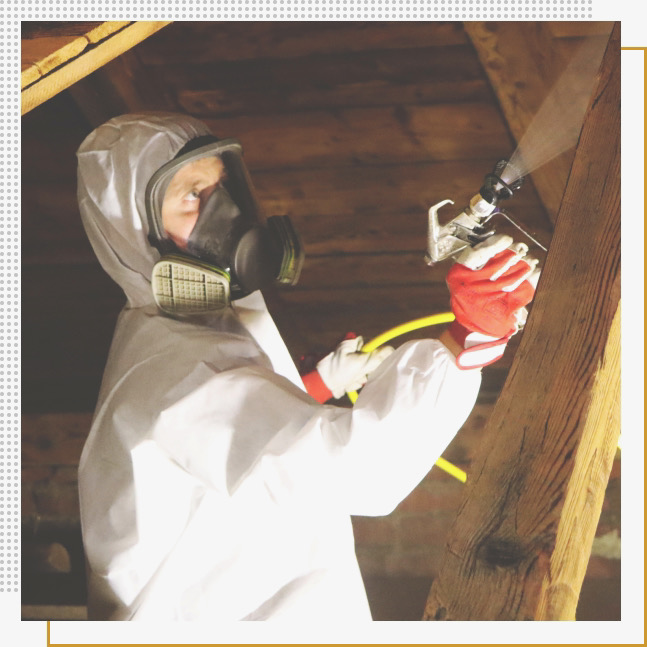 Ochrana dřeva před škůdci - David Kocián