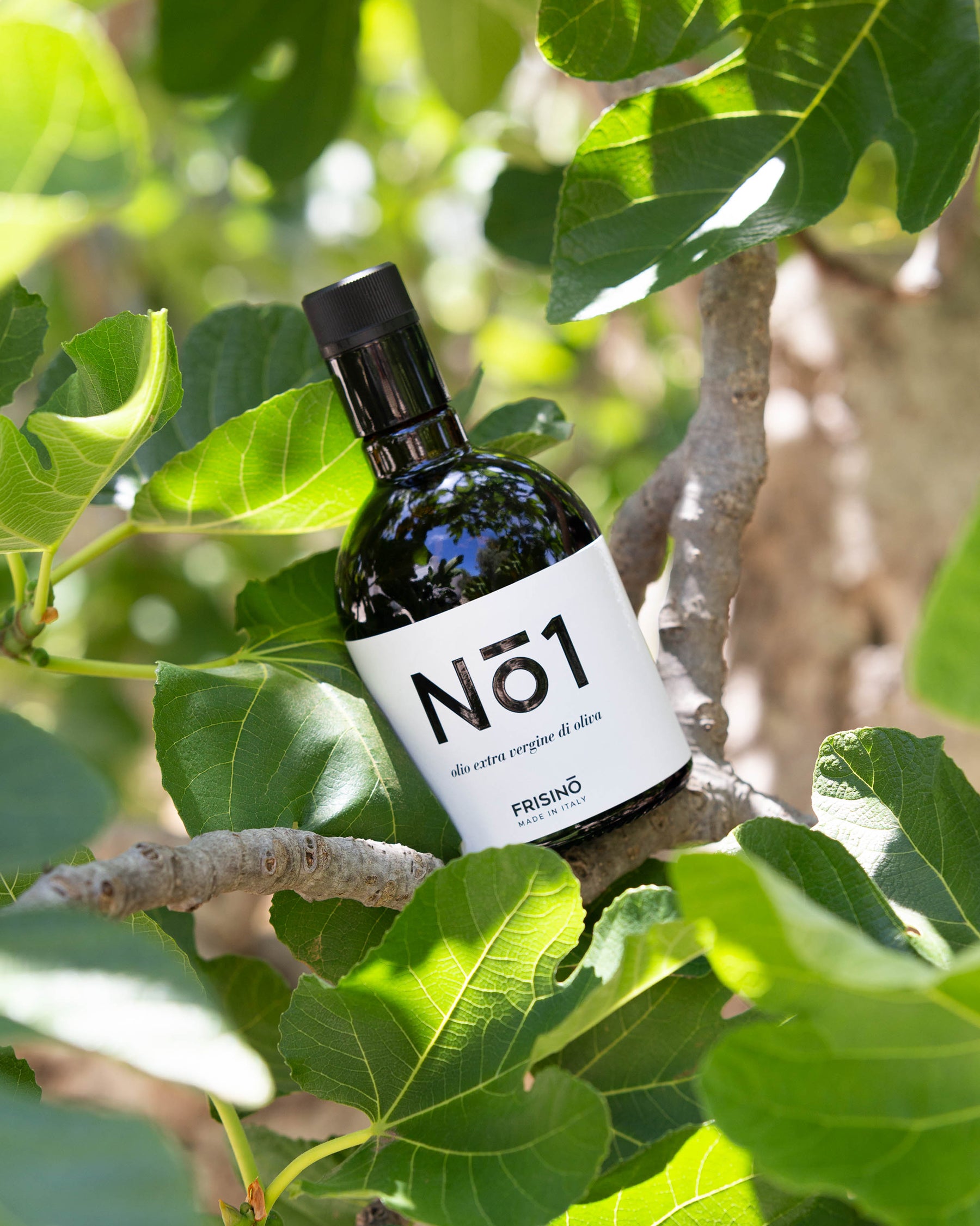 Evo Oil Numbers  N°1