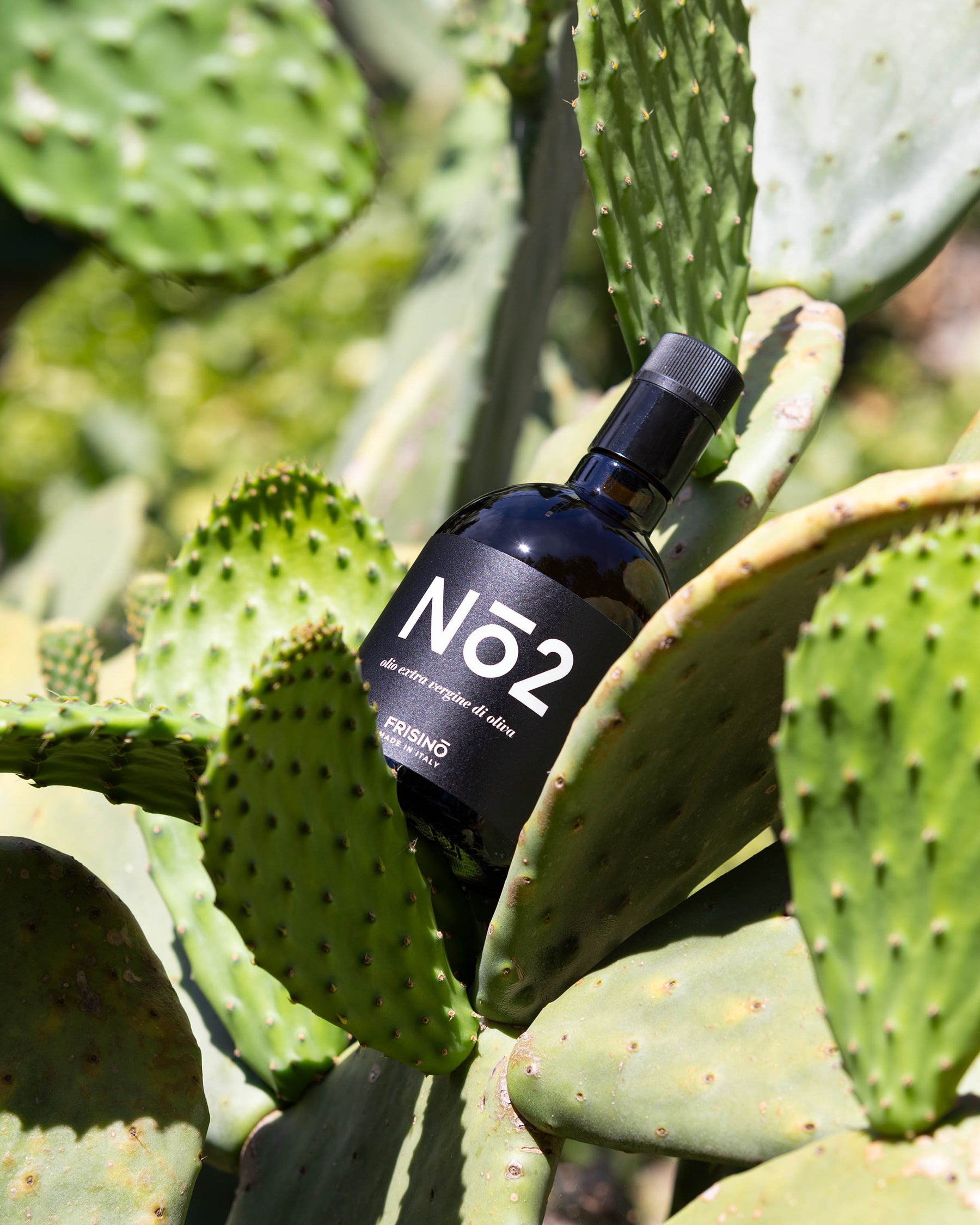 Evo Oil Numbers Black N°2