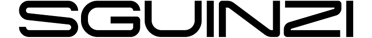 Sguinzi logo in black text with stylized letter S.