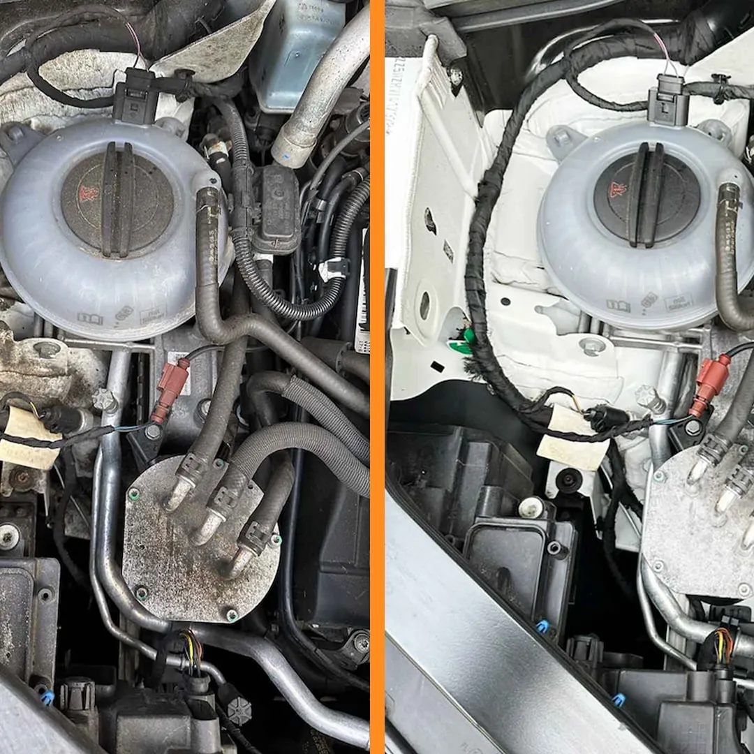 Engine bay restored to showroom condition — LuxWash steam detailing