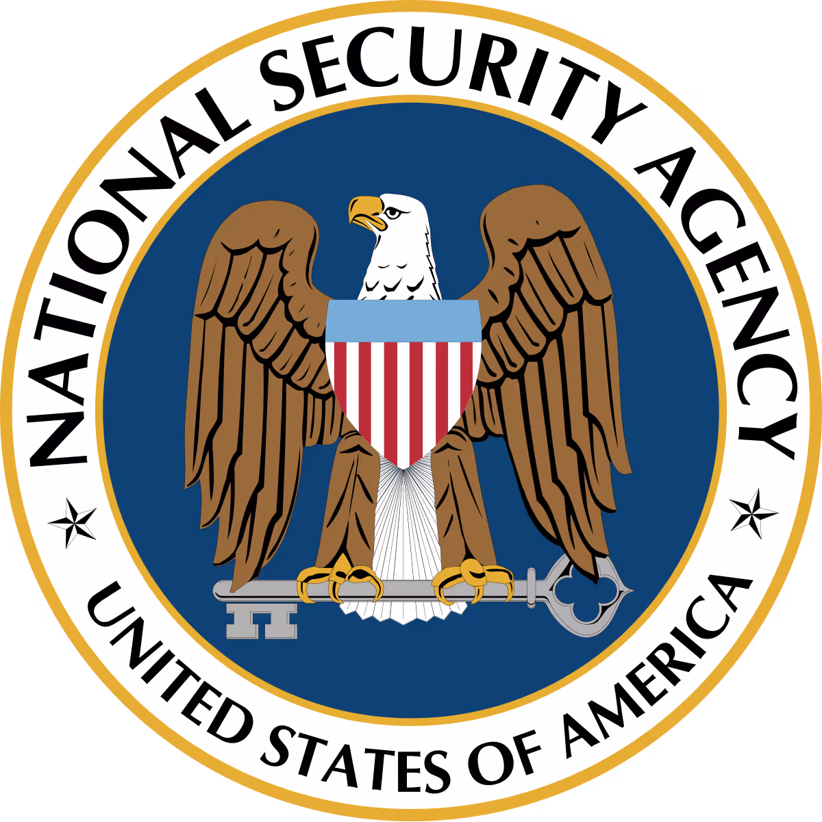 NSA logo