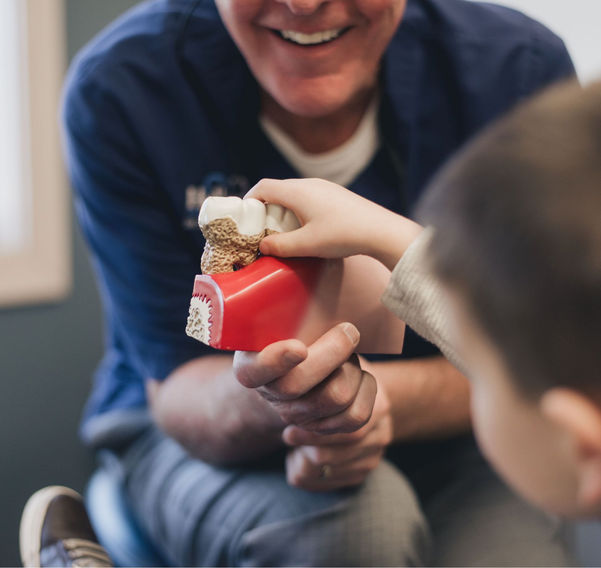 Smiling dentist showing a child a large tooth model illustrating gum and bone structure.