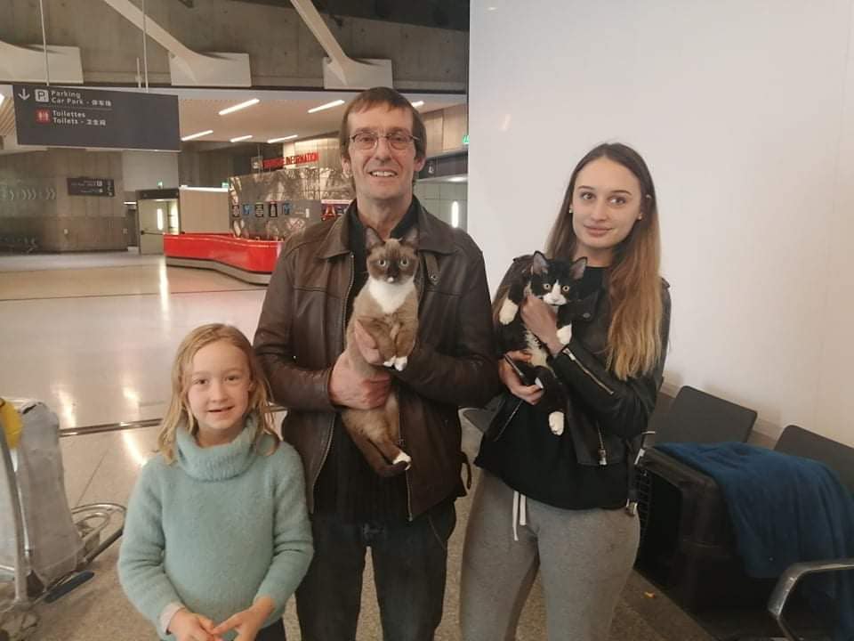 
minskin cats for sale
