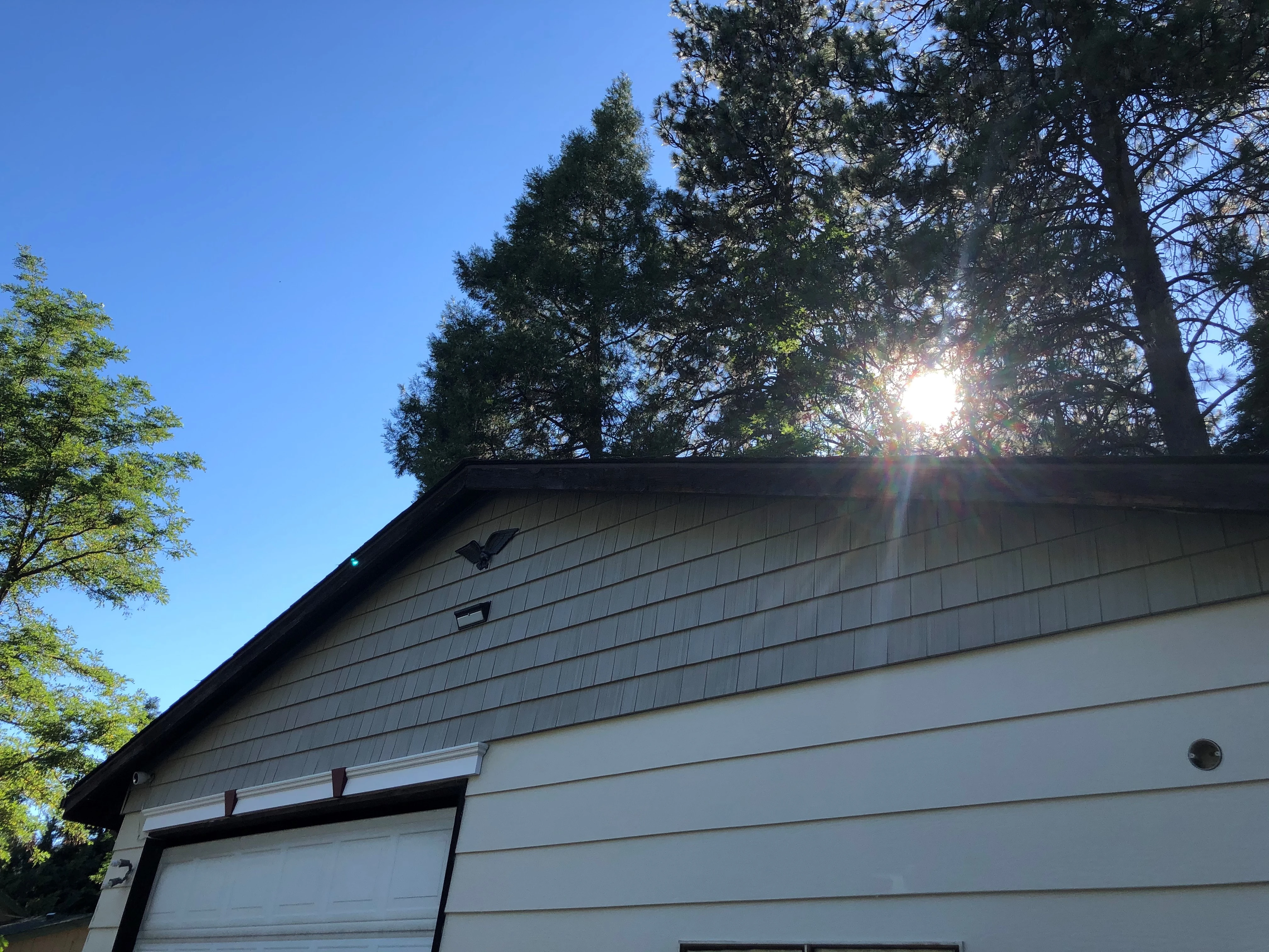 Modern bathroom with gray tiled bathtub and shower, white toilet with rolled towel, and vanity with sink and green leaf in vase.
