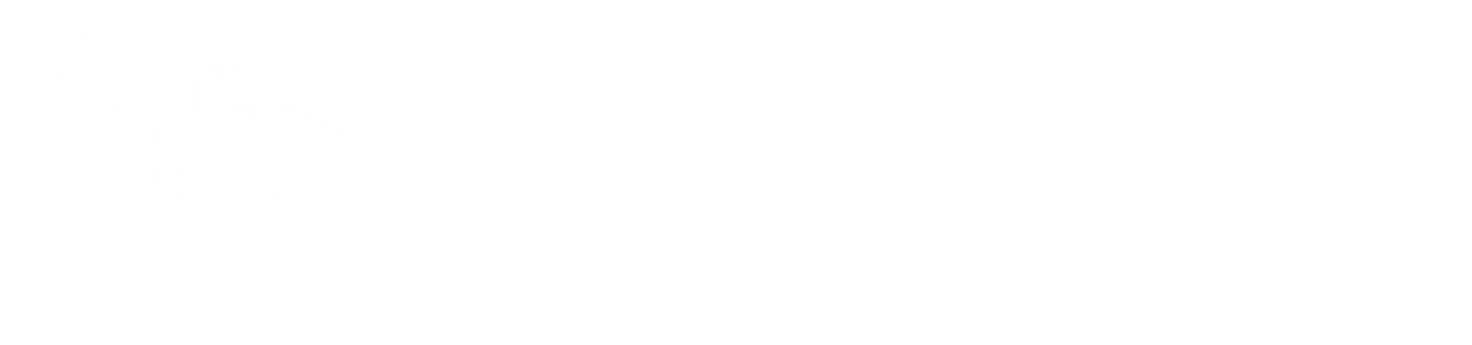 Logo of Anpel Construction & Remodeling featuring a house with a hammer integrated into the design.
