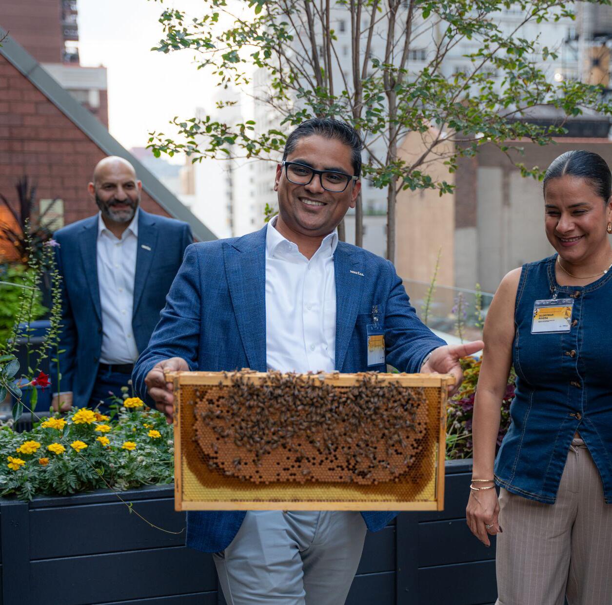 Smiling property professional holding a honeycomb frame on a rooftop garden with yellow flowers and city buildings, Alvéole solutions hero