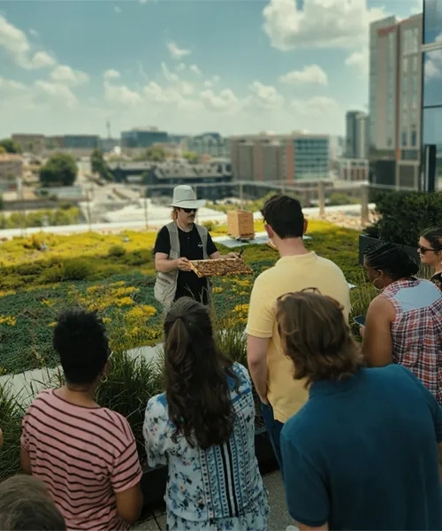 Alvéole beekeeper presenting an open honeycomb frame to a group of people seated on a green rooftop with the Nashville skyline in the background, Meet the Bees workshop