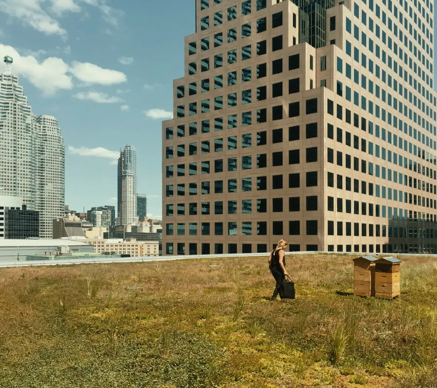 Alvéole beekeeper tending to a beehive on a green roof surrounded by tall city skyscrapers