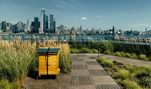 Alvéole beehive placed near a river surrounded by lush green vegetation and natural landscape