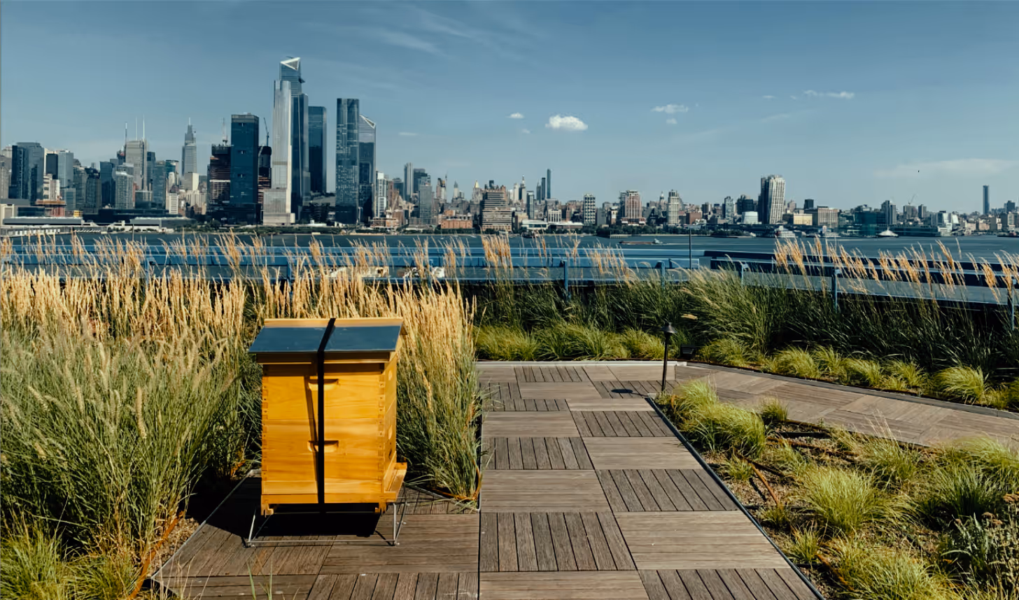 Alvéole beehive placed near a river surrounded by lush green vegetation and natural landscape